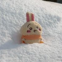 吉伊卡哇 日本代購 2/10-2/16