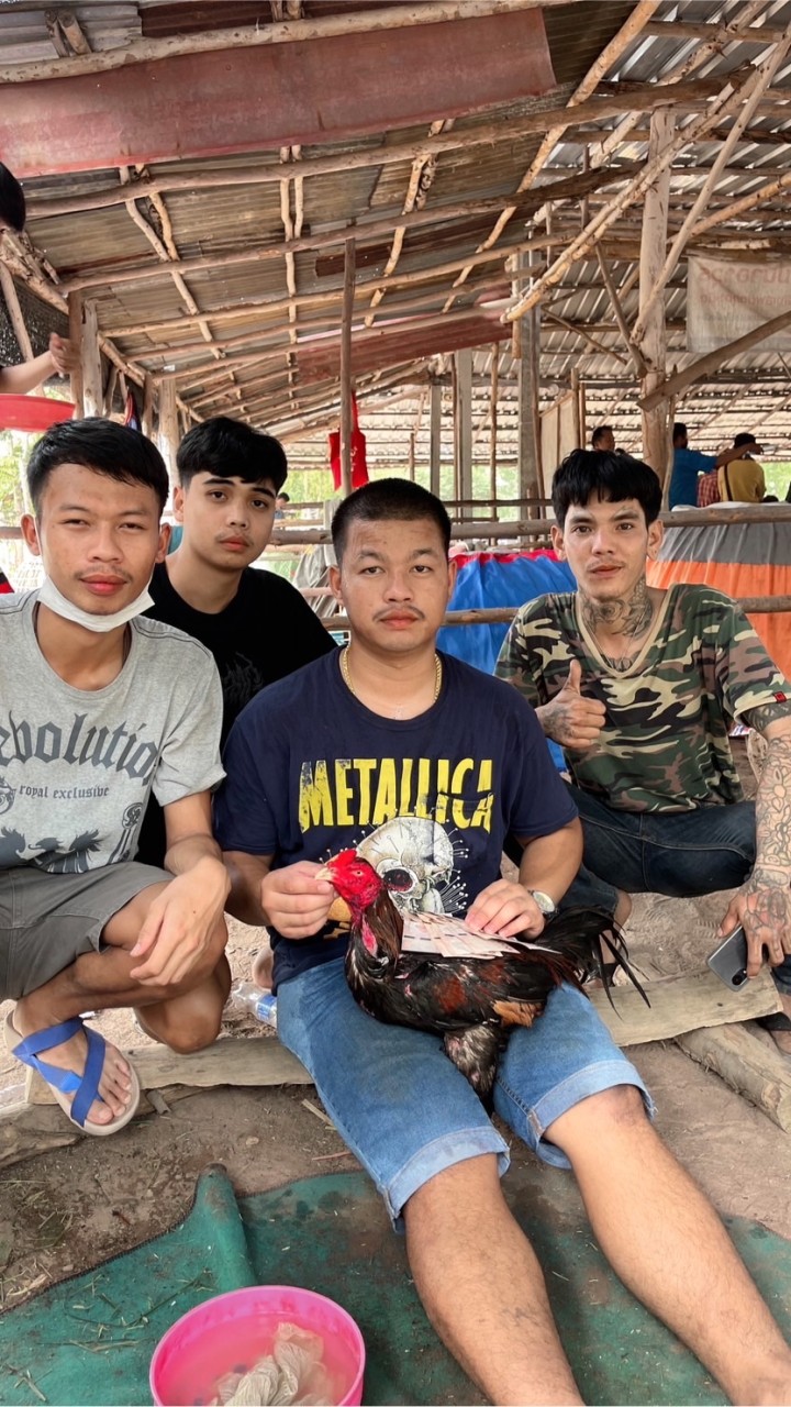 เพชรโนนใหญ่ฟาร์ม🐓