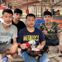 เพชรโนนใหญ่ฟาร์ม🐓