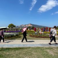 健康在生活中