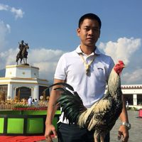 ซุ้มดาวเงิน เชียงใหม่