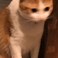兮聊兮聊