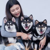 可歐肉團購群