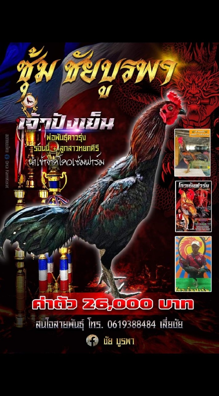 หน้าหงอนปีศาจ