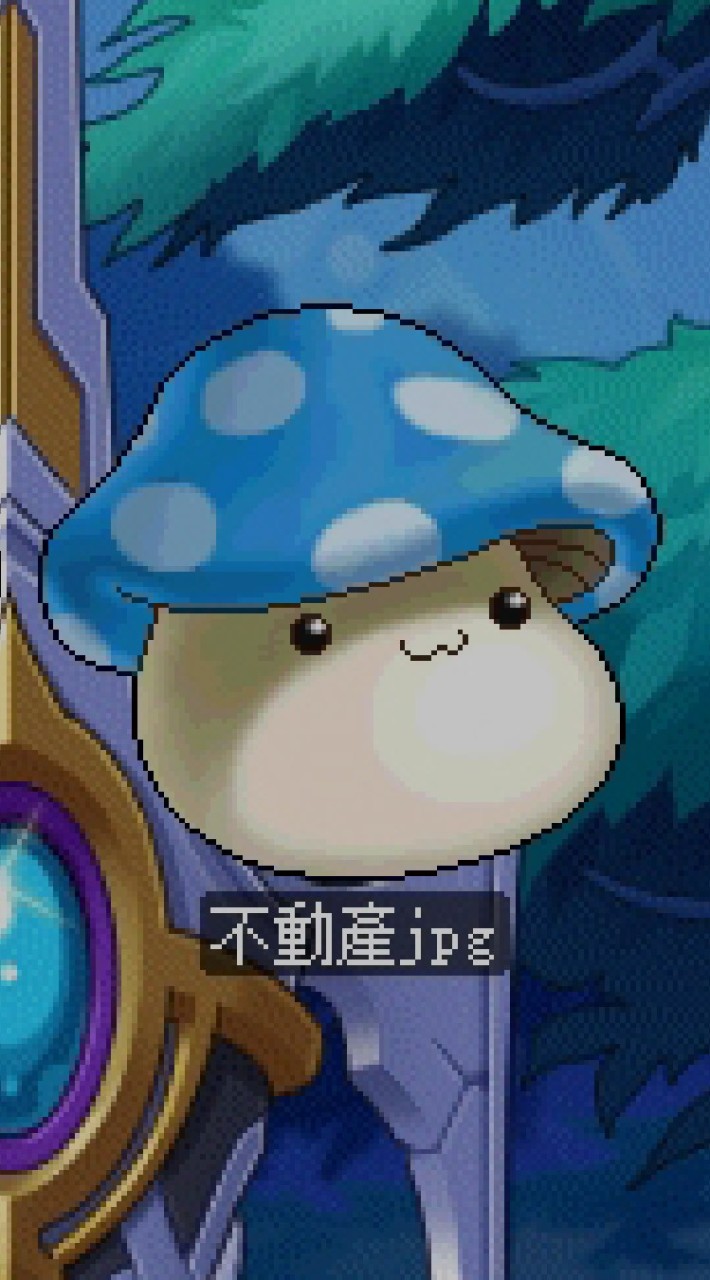 薩佛街11號