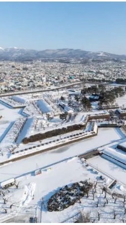 機票、自由行代訂