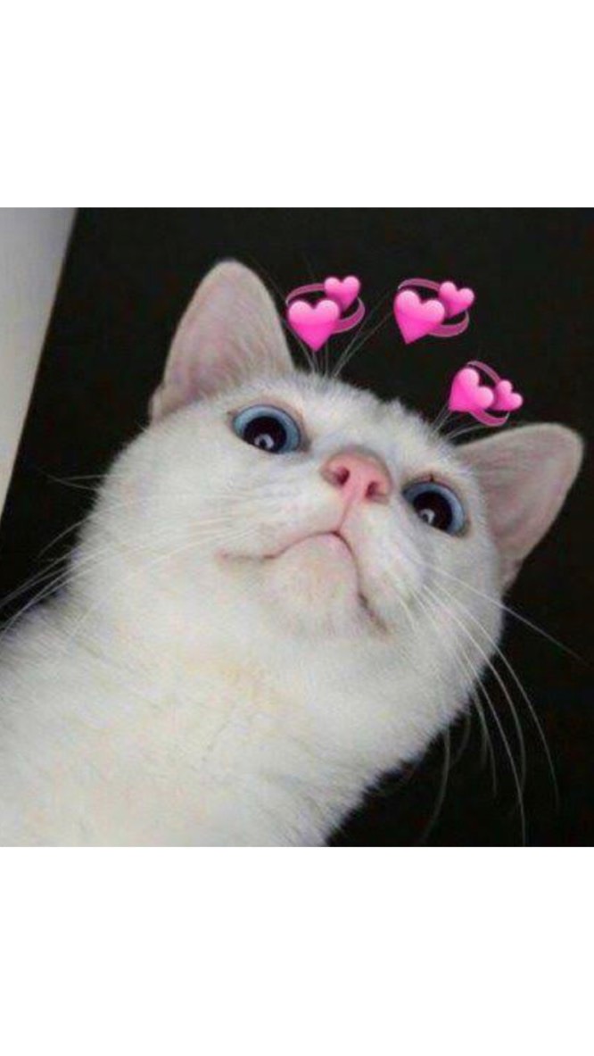 •-ตัวแทนขายรีเทนเนอร์ไม่สต็อกของ💖-•