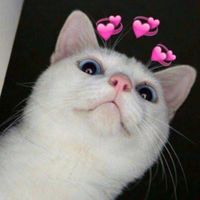 •-ตัวแทนขายรีเทนเนอร์ไม่สต็อกของ💖-•