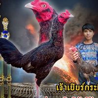 สวนฝิ่นฟาร์ม