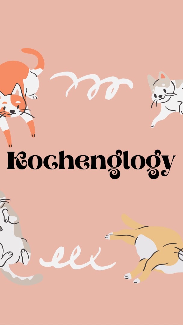 KochengLogy🐾のオープンチャット