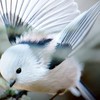 一人で寂しい人のための集まり