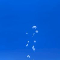 海中本丸