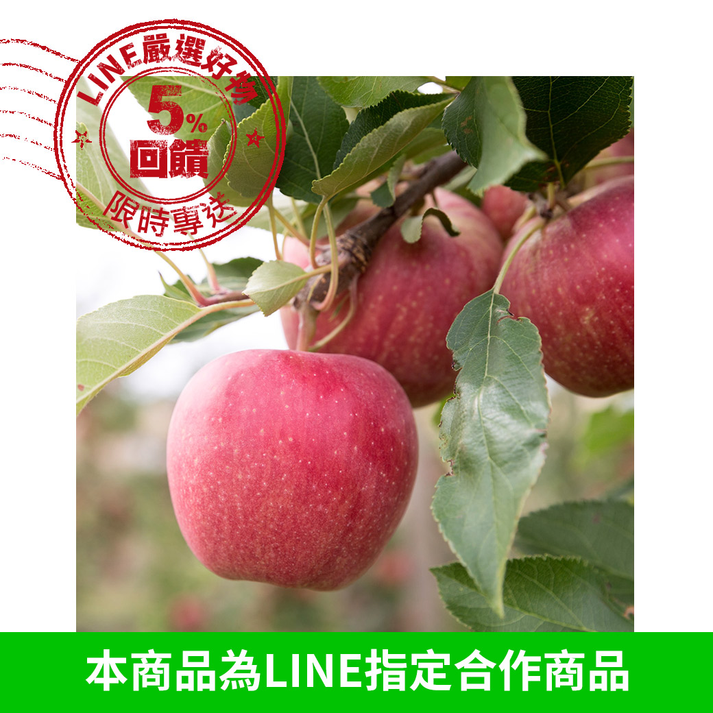 [甜露露]智利富士蘋果3XL 8入禮盒(多顆裝優惠)