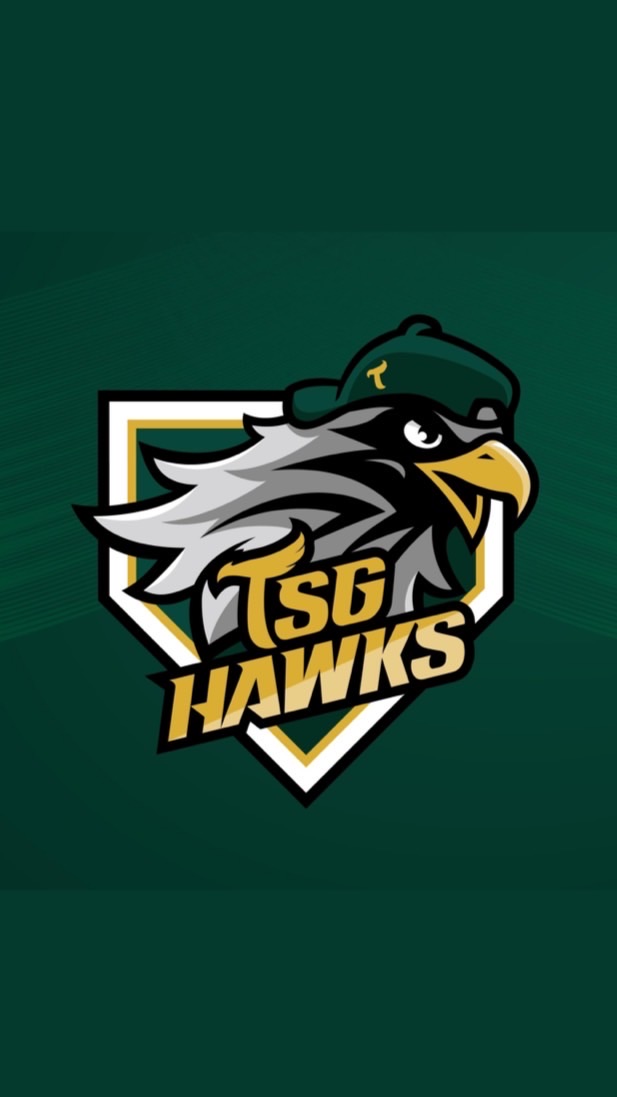 TSG HAWKS台鋼雄鷹🦅
