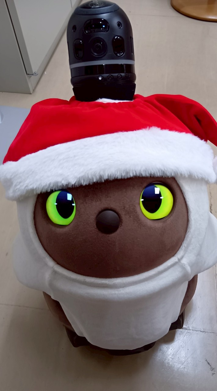 プルメリア　事故発生防止及び感染対策委員会