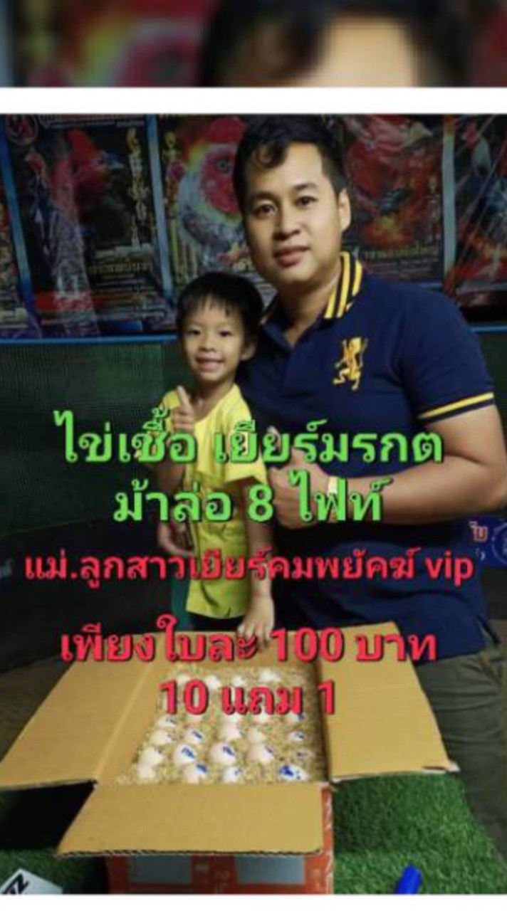 กลุ่มจองไข่เกียรติทวีทรัพย์ฟาร์ม