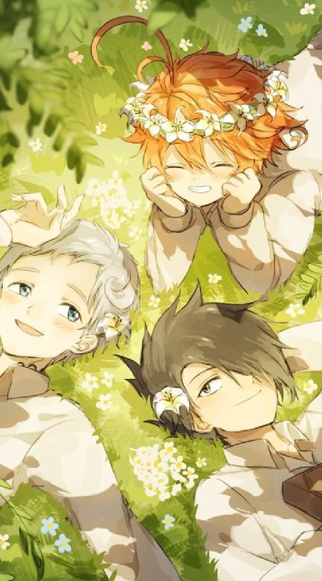 —🌻 : 𝑻𝒉𝒆 𝒑𝒓𝒐𝒎𝒊𝒔𝒆𝒅 𝑵𝒆𝒗𝒆𝒓𝒍𝒂𝒏𝒅 : 🌻—