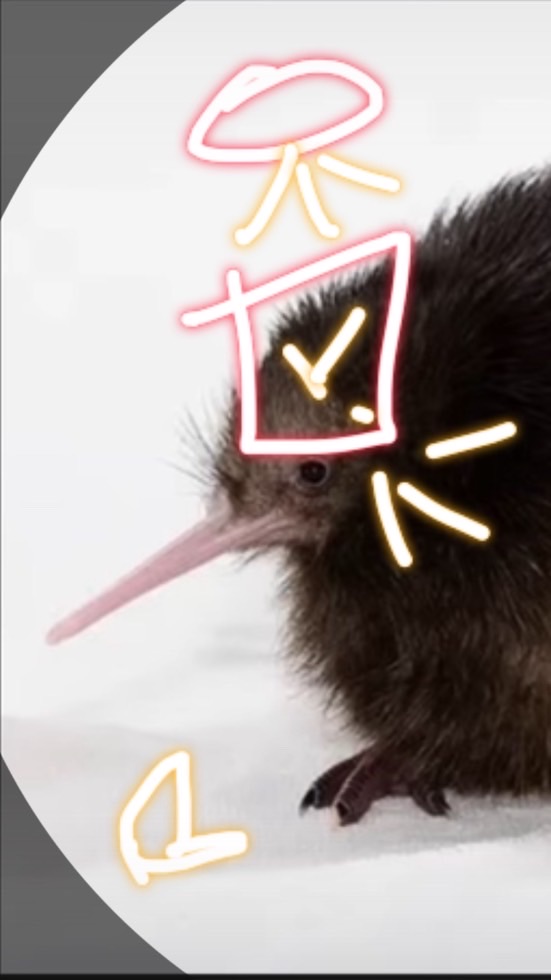 กลุ่มกีวี่🐤🥝2416 ( เจ้าของเอพลัส )