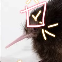 กลุ่มกีวี่🐤🥝2416 ( เจ้าของเอพลัส )