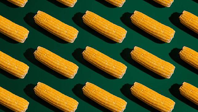 11 Arti Mimpi Jagung Pertanda Rezeki Bola Com Line Today