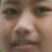 กลุ่มตัวแม่