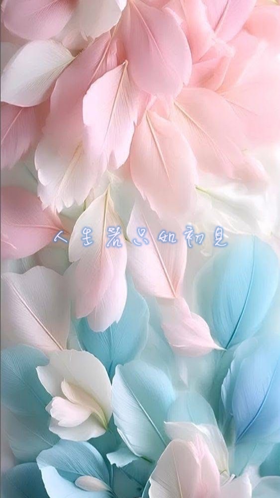 🌹35+人生若只如初見✨