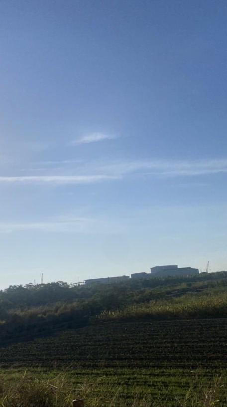 聊天