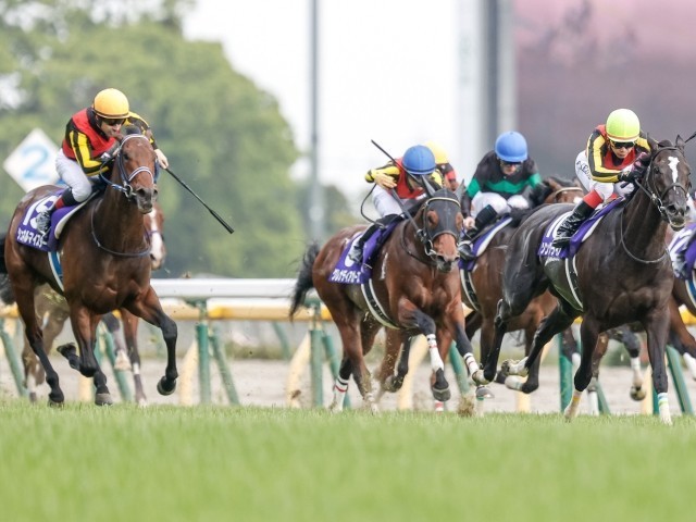 ＪＲＡ−ＶＡＮ シュネルマイスター NHKマイル勝利レースパネル - 通販