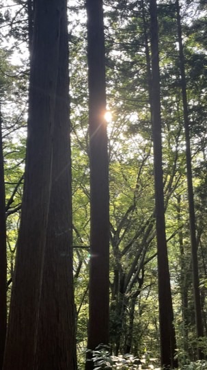 もりもりの沼ユナイト部屋