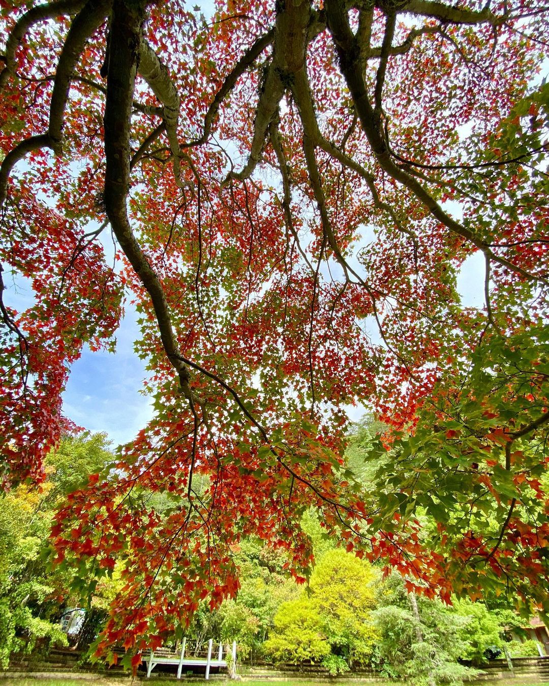 武陵農場 @yulianhan0205