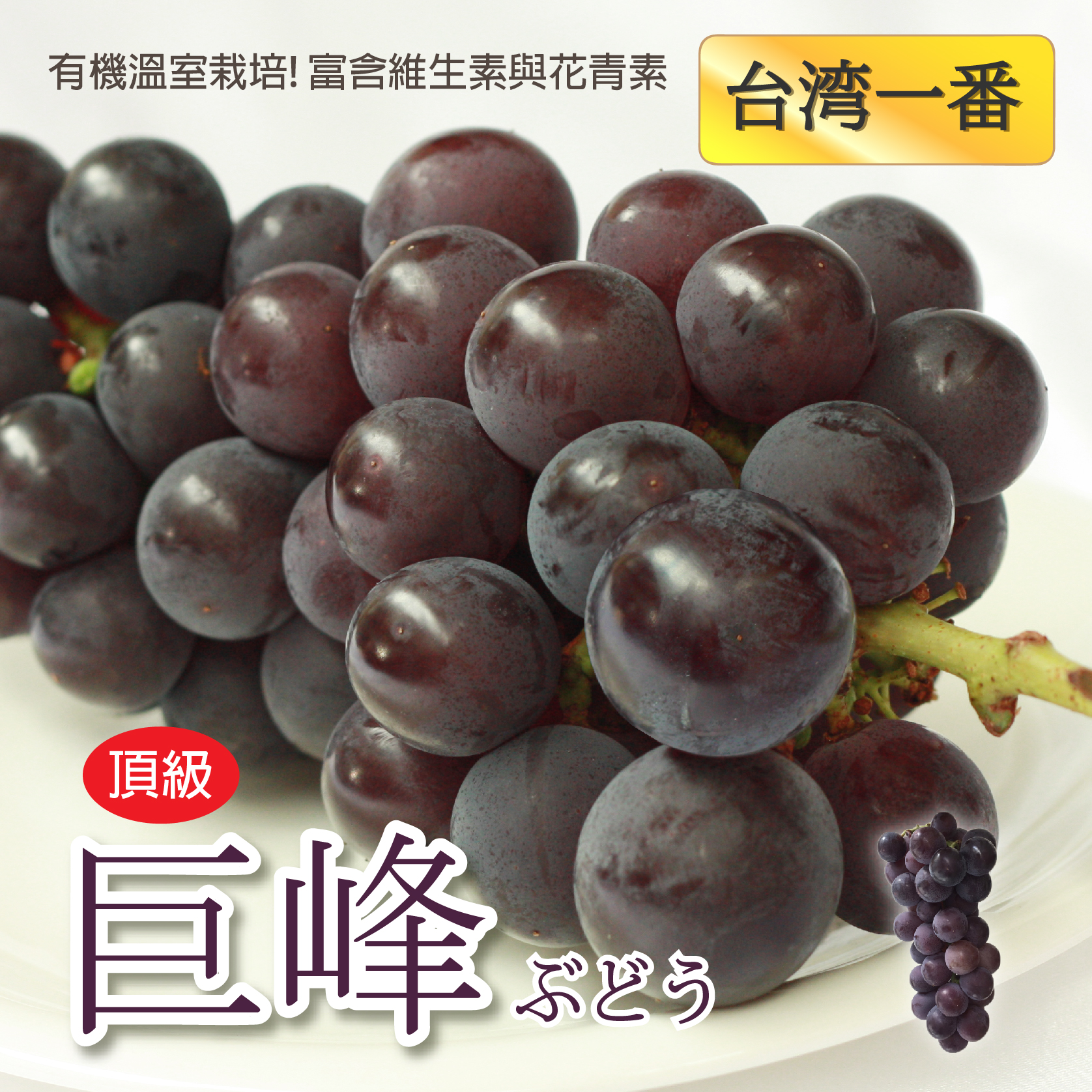 【台湾の最高—溫室巨峰葡萄】