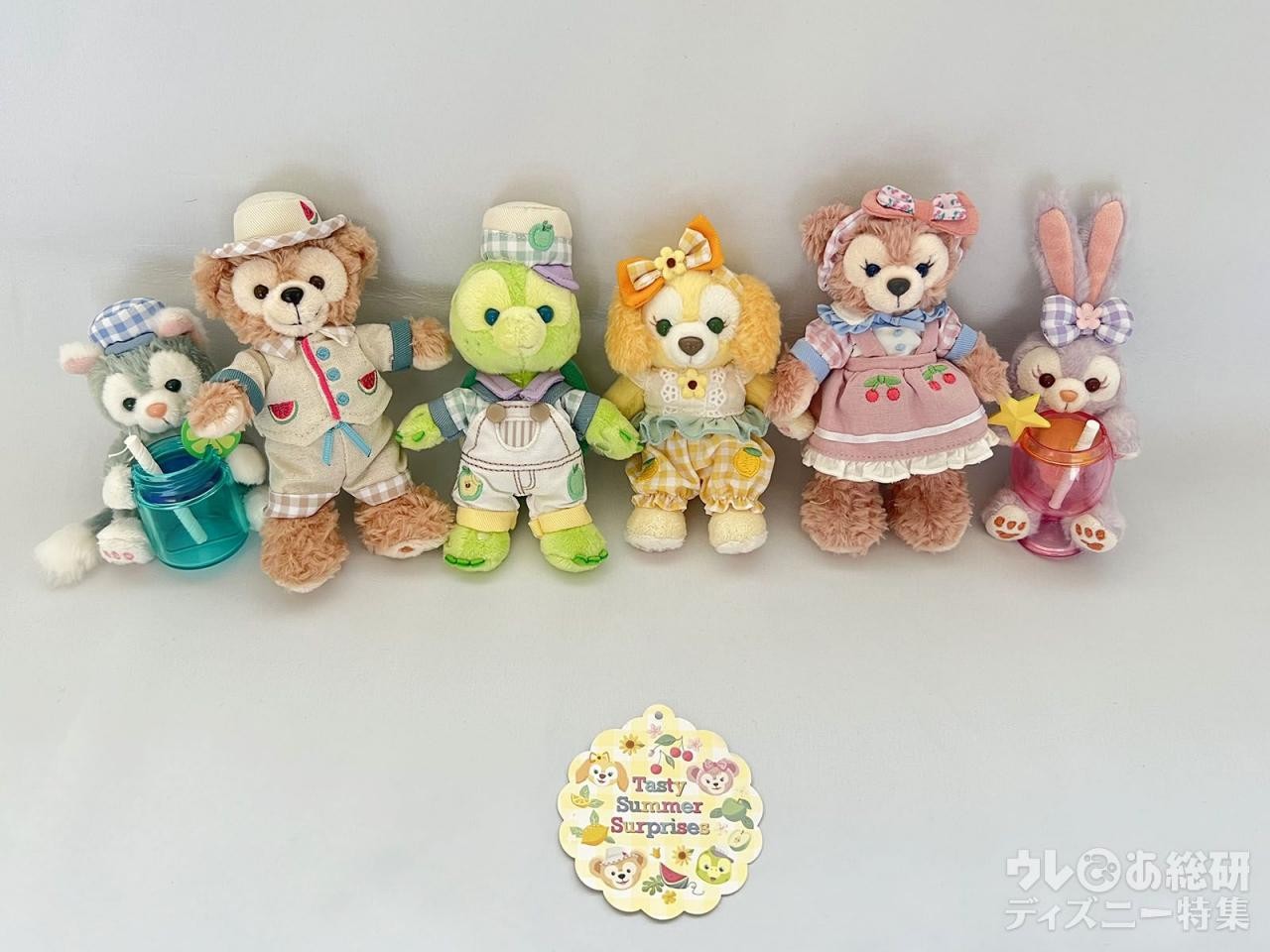 テイスティサマーサプライズクッキーアンぬいぐるみバッジ テイスティサマーサプライズ ぬいぐるみバッジ クッキーアン