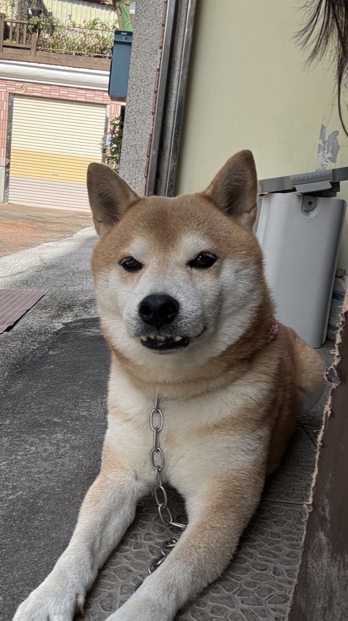 吳堡♡