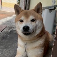 吳堡♡