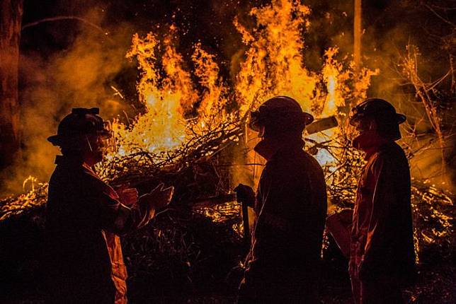 8 Potret Aksi Heroik Pemadam Kebakaran, Pertaruhkan Jiwa dan Raga