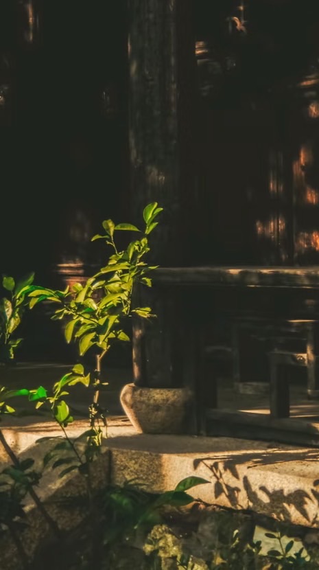 𓏼  南風 ☼ 鎮 ᯓ 對戲