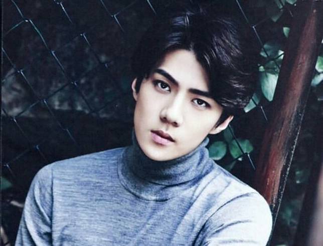 Sehun(EXO) | https://s-media-cache-ak0.pinimg.com/564x/27/23/ef/2723ef864d890a520a99925a359d8402.jpg