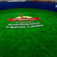 สนามชนไก่หนุ่มเขลางค์