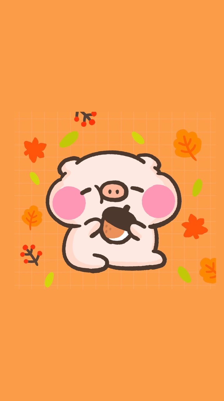 萌萌豬快樂小圈圈🐷