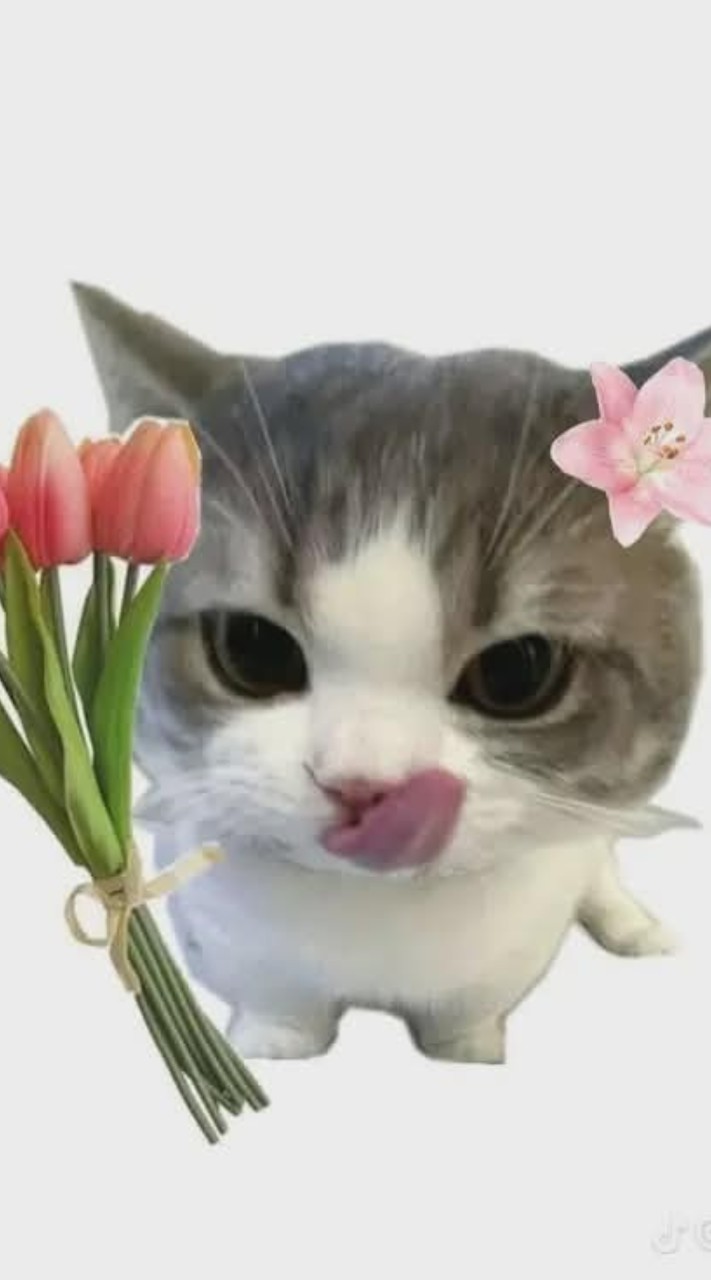 นั่งคุยเล่นกันไปวันๆ💙🌷