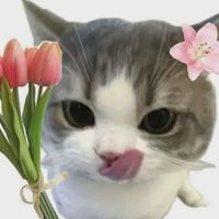 นั่งคุยเล่นกันไปวันๆ💙🌷