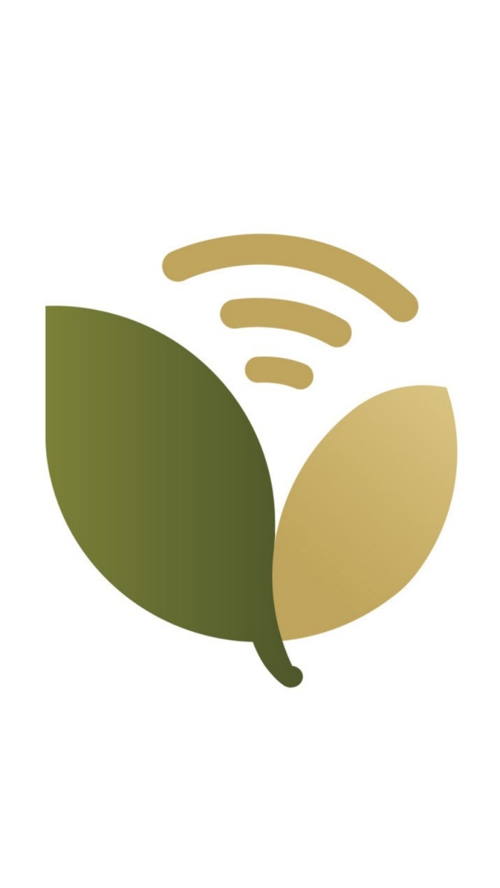 看美劇學英文-最夯美劇追起來⭕類母語學習法之偽沉浸式影片學習法✔️