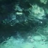 ⌘あの日の波は綺麗でしたね⌘