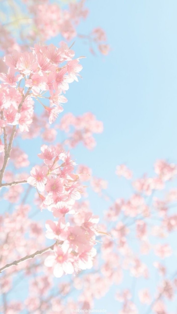 R8 奏新歓用オープンチャット🎤