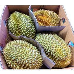 ◎東南亞水果之王金枕頭榴槤，果肉甜美，營養豐富|◎|◎品牌:無類型:水果水果種類:榴槤重量/件:原箱裝3-4顆入，約12KG±10%包裝:箱裝配送方式:常溫,冷藏保存期限:新鮮水果請盡快食用完畢廠商名