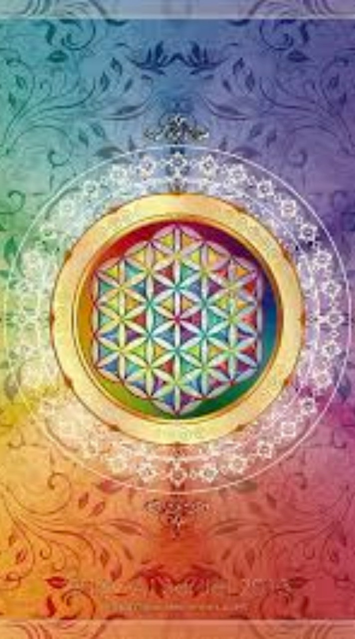 CCE【一審告訴人】群