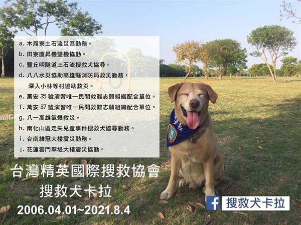 高雄氣爆 維冠倒塌都有牠救援的足跡 搜救犬卡拉安詳離世 網友湧入粉專悼念 太報 Line Today
