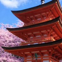 洋楽好き　邦楽好き　EDMもＫ−ＰＯＰも　　　　　　　　　HouseMusicも　宜しくお願いします