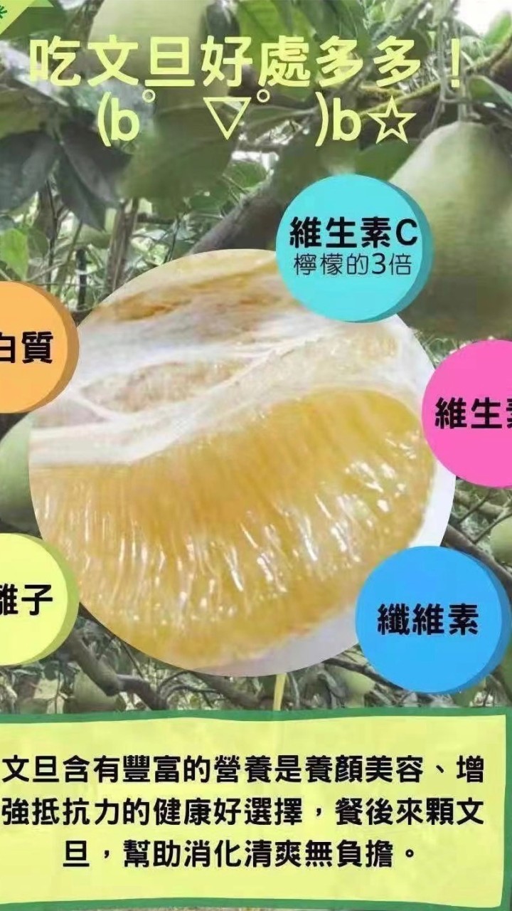 花蓮老欉瑞穗文旦