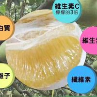 花蓮老欉瑞穗文旦